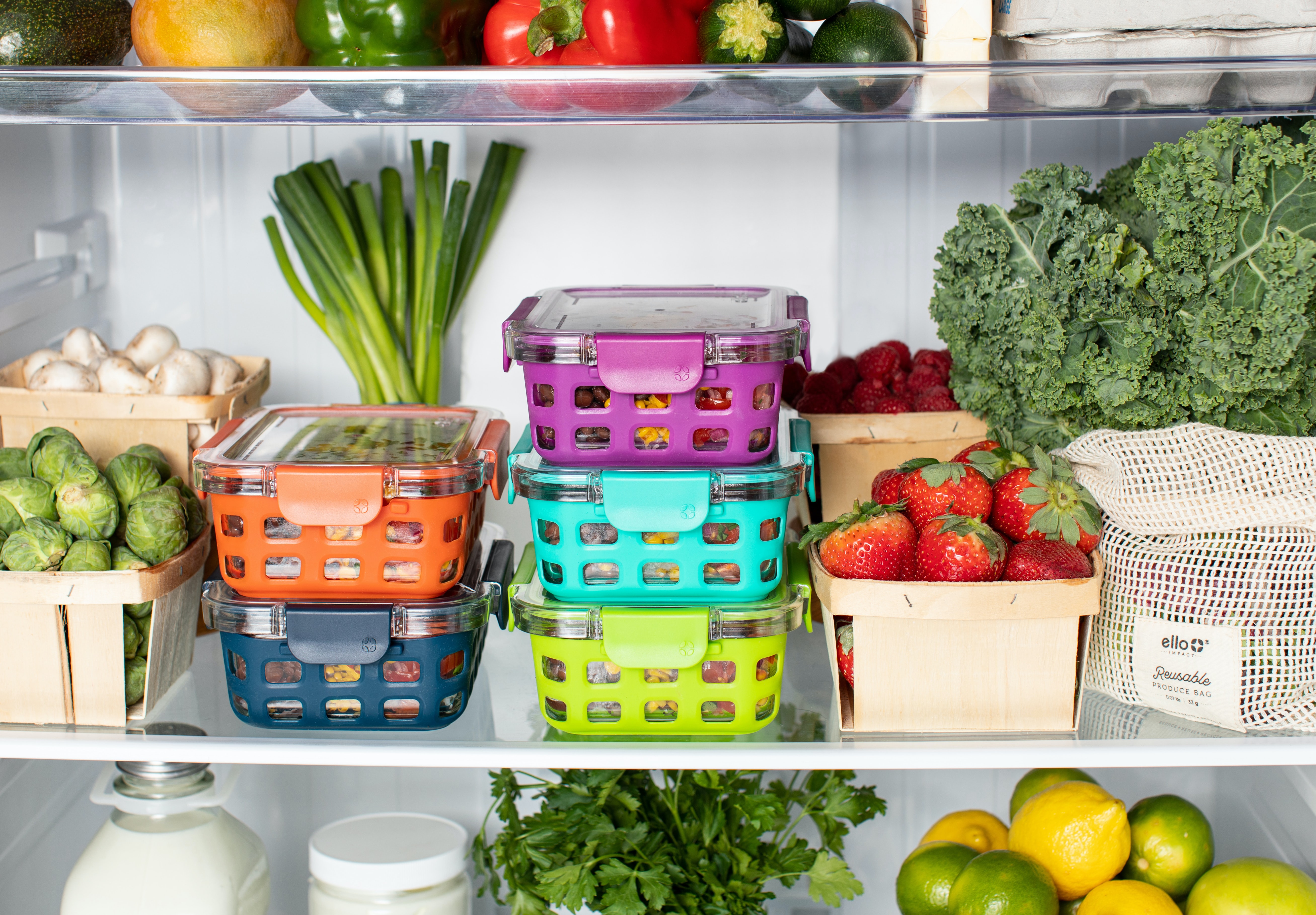 10 Methods for Waste Food Recycling 10 Methods for Waste Food Recycling
