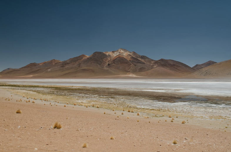 What are the Environmental Issues in the UAE?