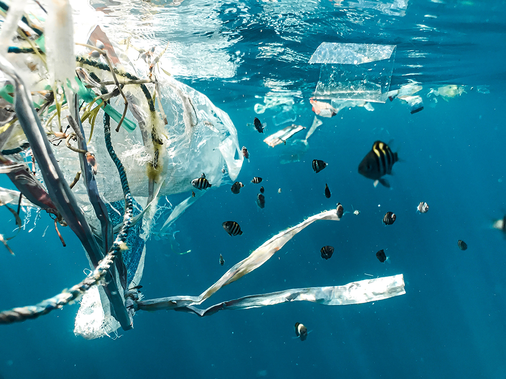 How Can We Prevent Ocean Pollution?