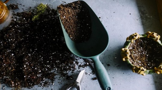 5 Highly Recommended Food Composters for UAE Residents and Businesses 5 Highly Recommended Food Composters for UAE Residents and Businesses