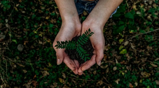 What Is the UAE's Sustainable Consumption Initiative to Reduce Waste ? What Is the UAE's Sustainable Consumption Initiative to Reduce Waste ?