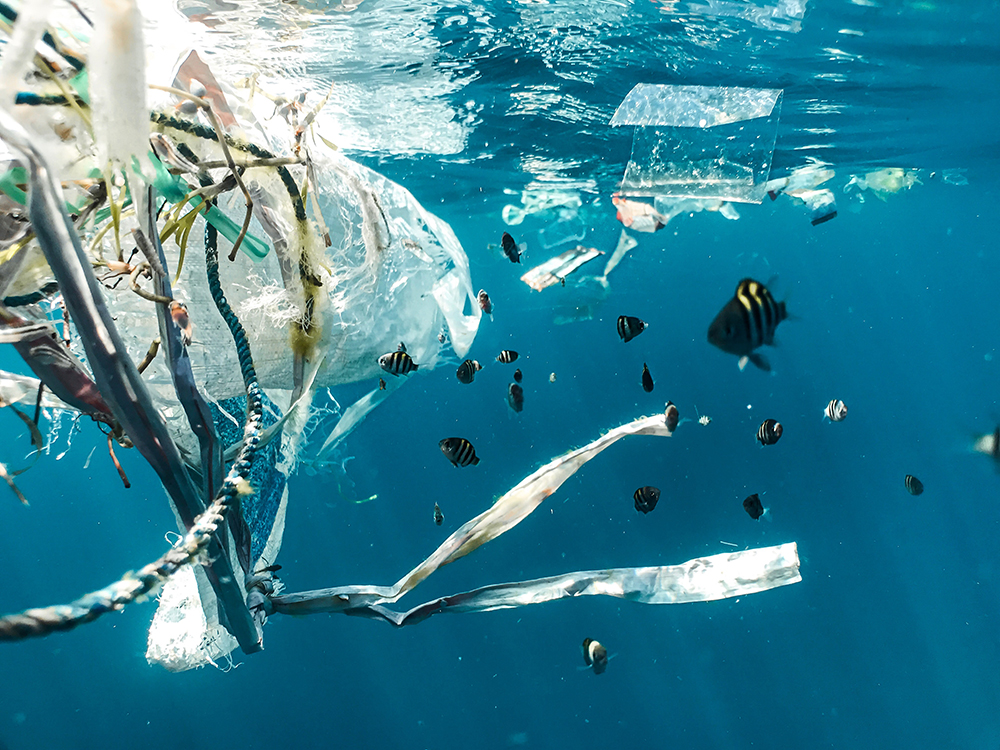 5 Ways to Prevent Ocean Pollution How Can We Prevent Ocean Pollution?